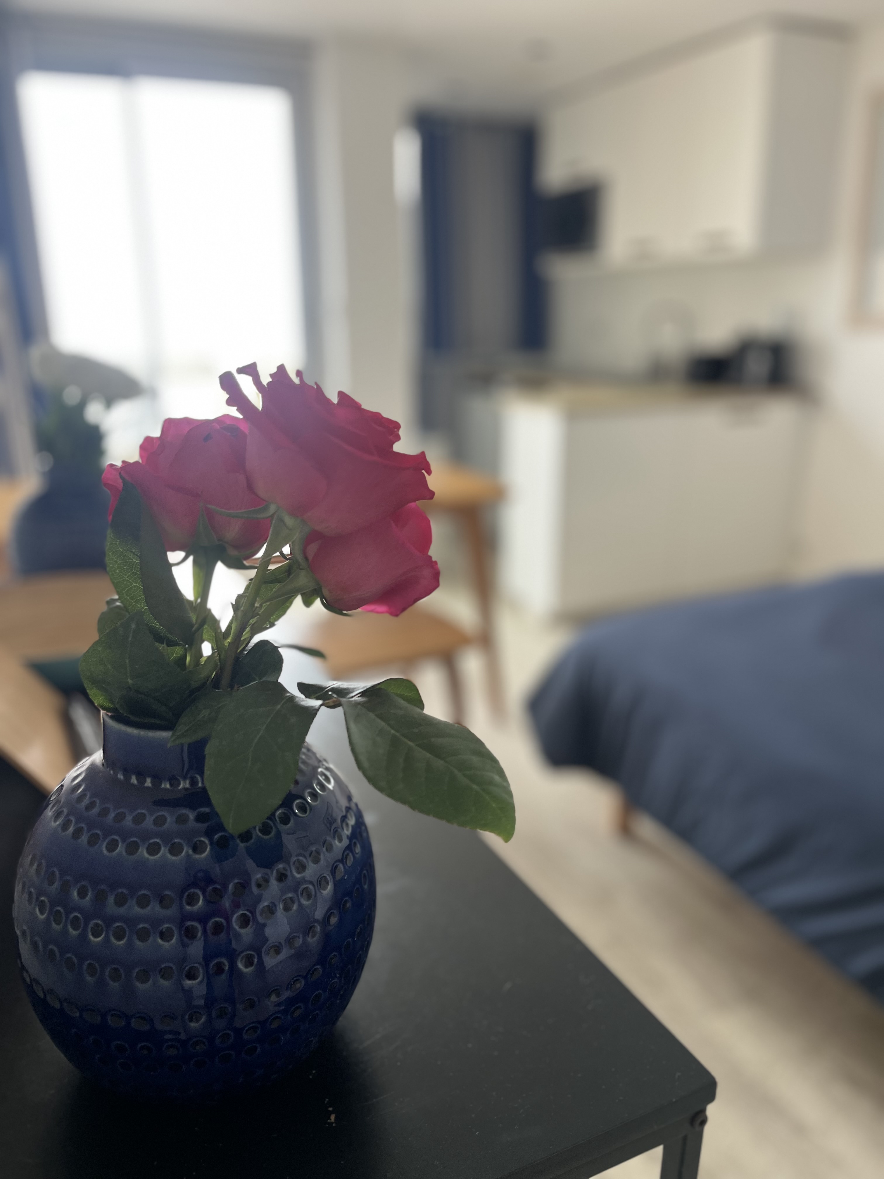Victoria Location Location Appartement Biarritz IMG 1721